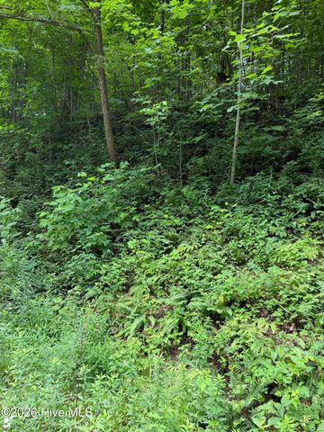 Lot 4 Outlook Road, Murphy, NC 28906