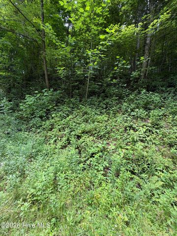 Lot 4 Outlook Road, Murphy, NC 28906