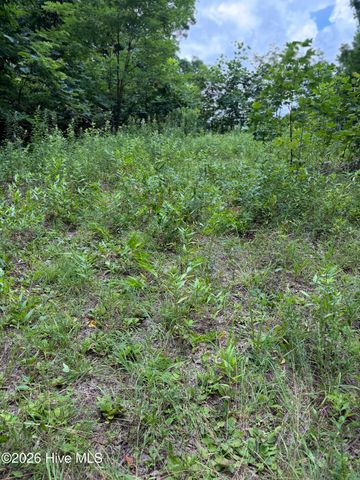 Lot 4 Outlook Road, Murphy, NC 28906
