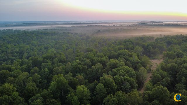 0 Highway 230, Mc Ewen, TN 37101