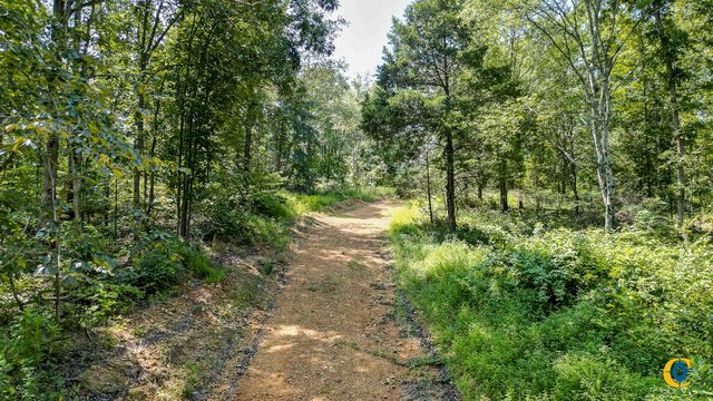 0 Highway 230, Mc Ewen, TN 37101