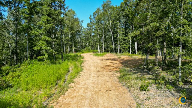 0 Highway 230, Mc Ewen, TN 37101