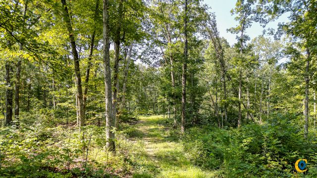 0 Highway 230, Mc Ewen, TN 37101