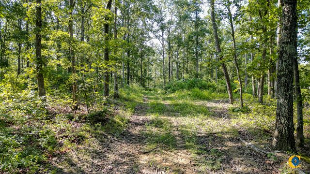 0 Highway 230, Mc Ewen, TN 37101