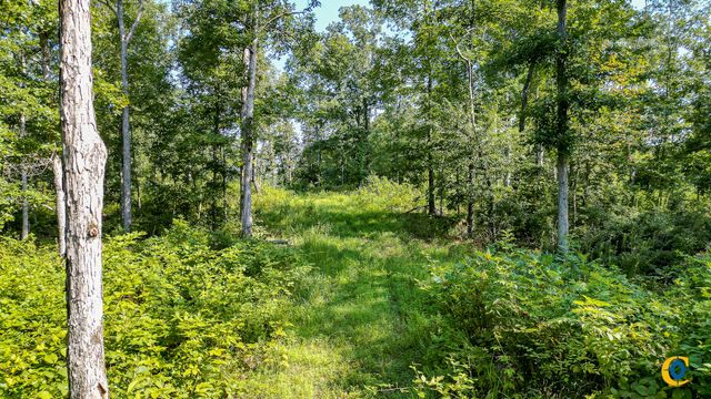 0 Highway 230, Mc Ewen, TN 37101