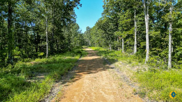 0 Highway 230, Mc Ewen, TN 37101