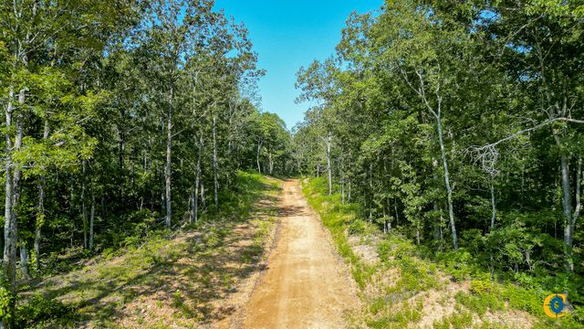 0 Highway 230, Mc Ewen, TN 37101