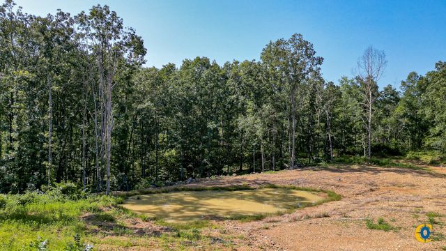 0 Highway 230, Mc Ewen, TN 37101