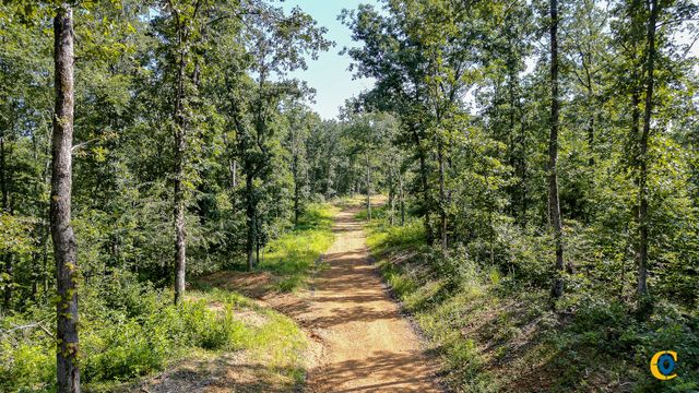 0 Highway 230, Mc Ewen, TN 37101