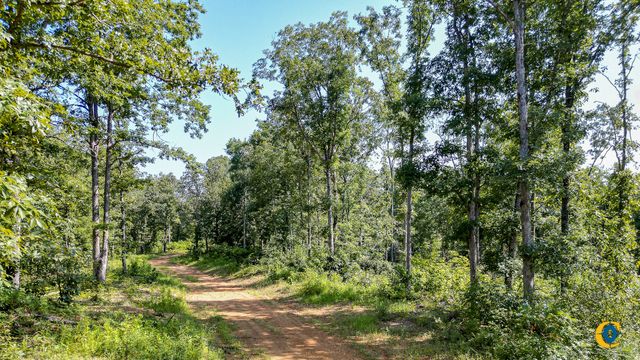 0 Highway 230, Mc Ewen, TN 37101