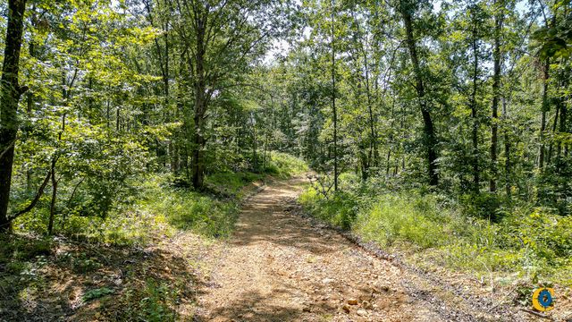 0 Highway 230, Mc Ewen, TN 37101