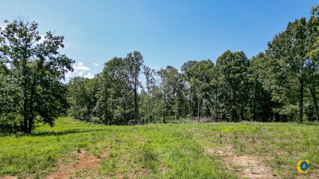 0 Highway 230, Mc Ewen, TN 37101