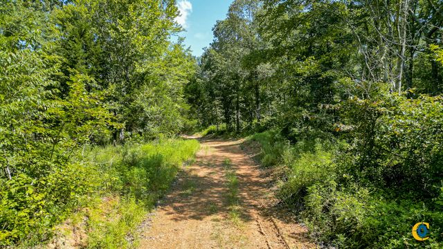 0 Highway 230, Mc Ewen, TN 37101