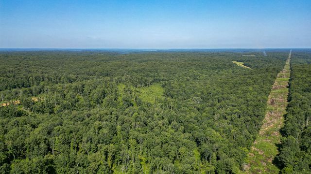 0 Highway 230, Mc Ewen, TN 37101