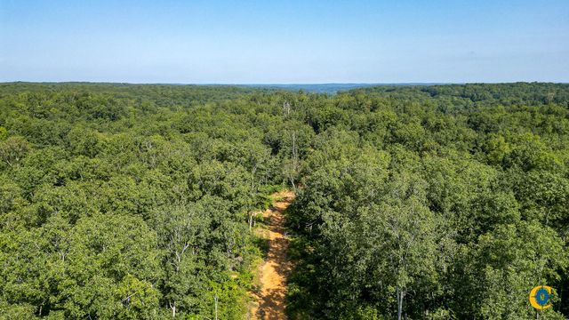 0 Highway 230, Mc Ewen, TN 37101