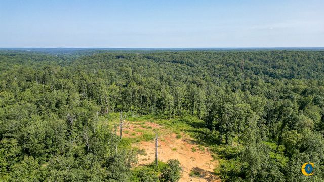 0 Highway 230, Mc Ewen, TN 37101