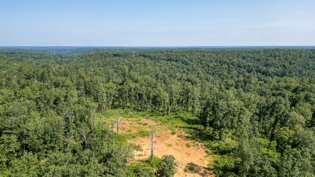 0 Highway 230, Mc Ewen, TN 37101