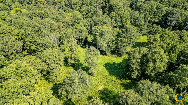 0 Highway 230, Mc Ewen, TN 37101