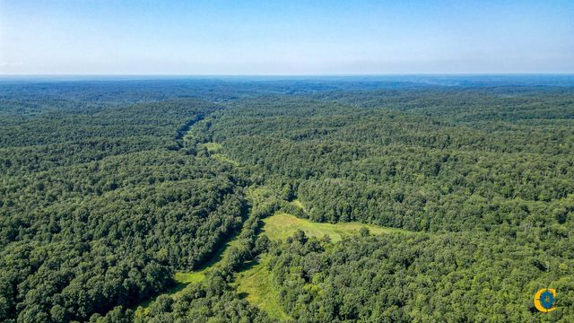 0 Highway 230, Mc Ewen, TN 37101