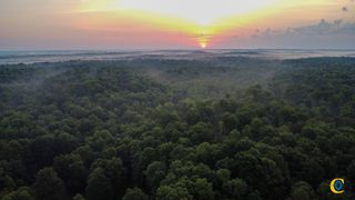 0 Highway 230, Mc Ewen, TN 37101