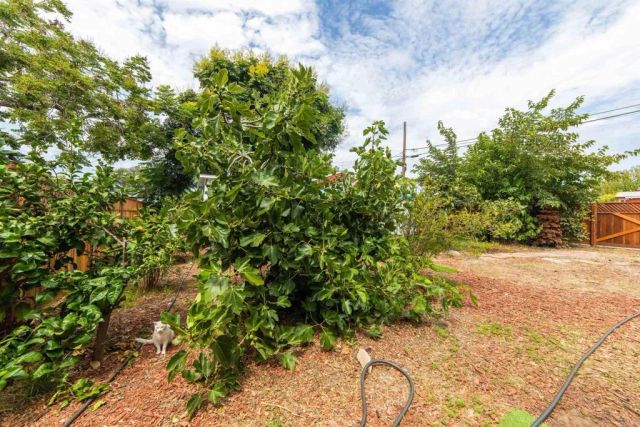 729 Second Avenue, Chula Vista, CA 91910