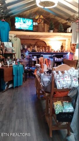 168 County Road 484, Englewood, TN 37329