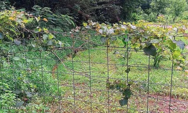 168 County Road 484, Englewood, TN 37329