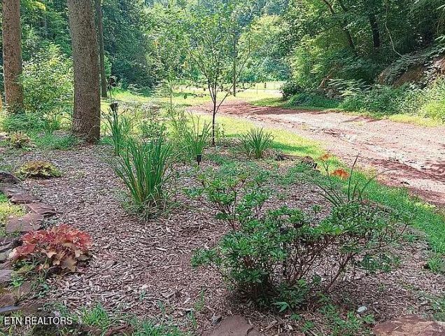 168 County Road 484, Englewood, TN 37329