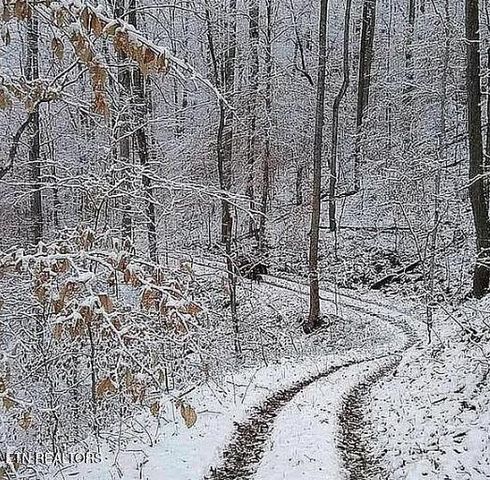 168 County Road 484, Englewood, TN 37329