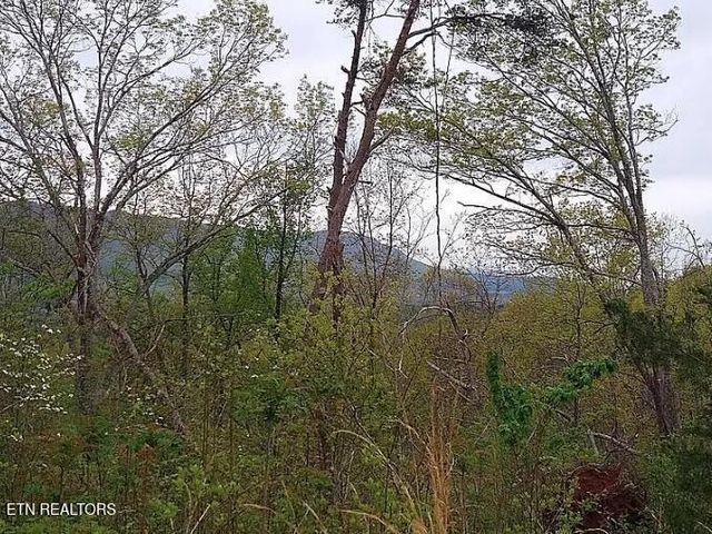 168 County Road 484, Englewood, TN 37329