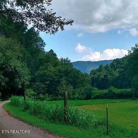 168 County Road 484, Englewood, TN 37329