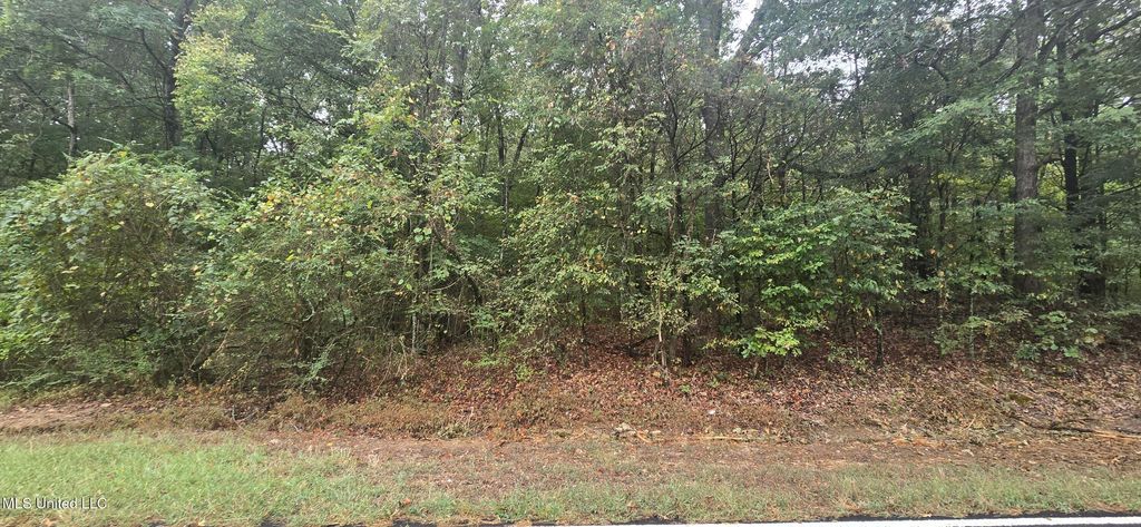Woolsey Road, Olive Branch, MS 38654 — exterior