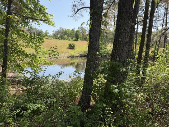 219 Henryville RD, Ethridge, TN 38456