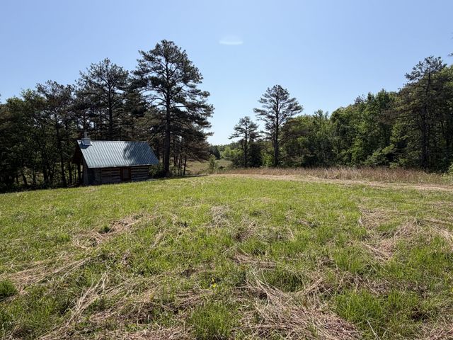 219 Henryville RD, Ethridge, TN 38456