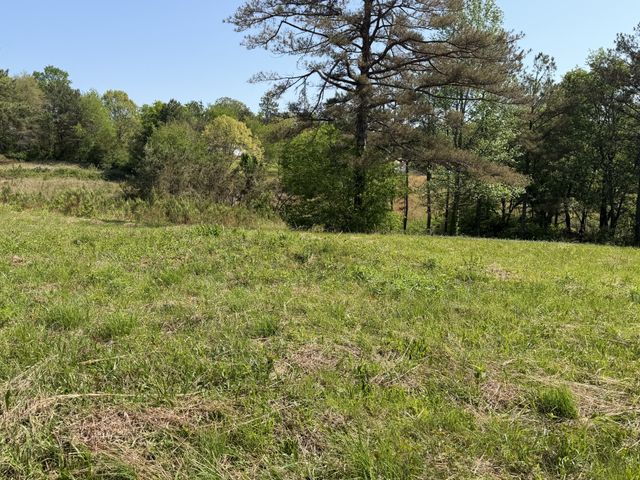 219 Henryville RD, Ethridge, TN 38456