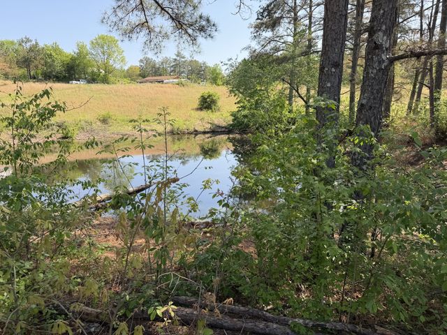 219 Henryville RD, Ethridge, TN 38456