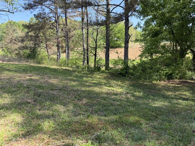 219 Henryville RD, Ethridge, TN 38456