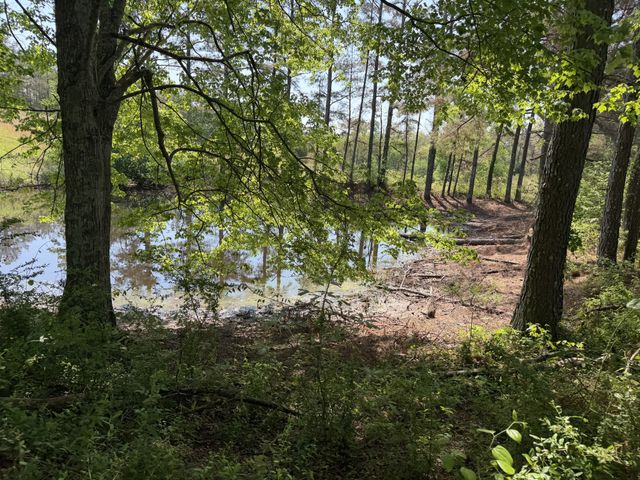 219 Henryville RD, Ethridge, TN 38456