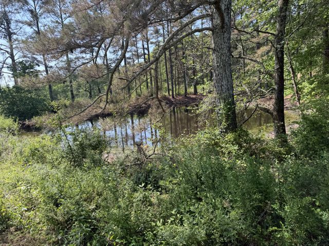 219 Henryville RD, Ethridge, TN 38456
