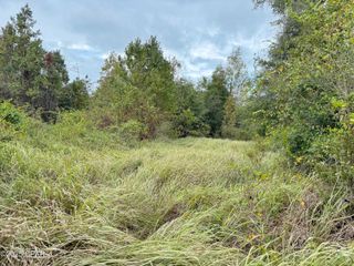 00 Iron Bridge Road, Marianna, FL 32448