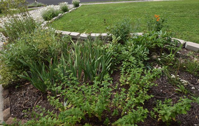 1423 E Bradshire Street, Bloomington, IN 47401