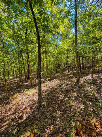 TBD Red Fox Rd, Hardy, AR 72542