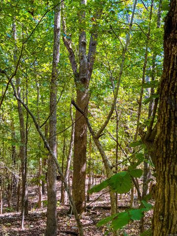 TBD Red Fox Rd, Hardy, AR 72542