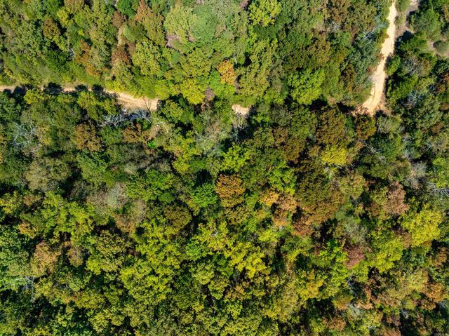 TBD Red Fox Rd, Hardy, AR 72542