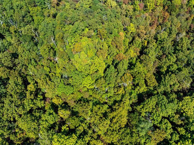 TBD Red Fox Rd, Hardy, AR 72542
