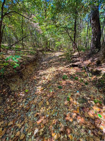 TBD Red Fox Rd, Hardy, AR 72542