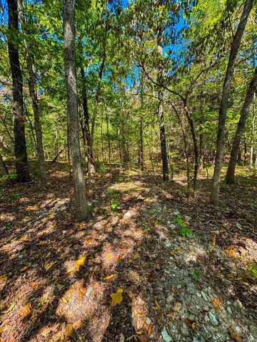 TBD Red Fox Rd, Hardy, AR 72542