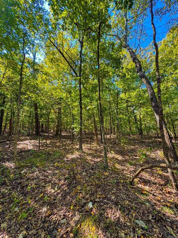 TBD Red Fox Rd, Hardy, AR 72542