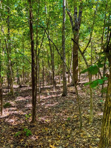 TBD Red Fox Rd, Hardy, AR 72542