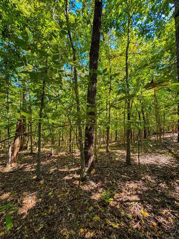 TBD Red Fox Rd, Hardy, AR 72542
